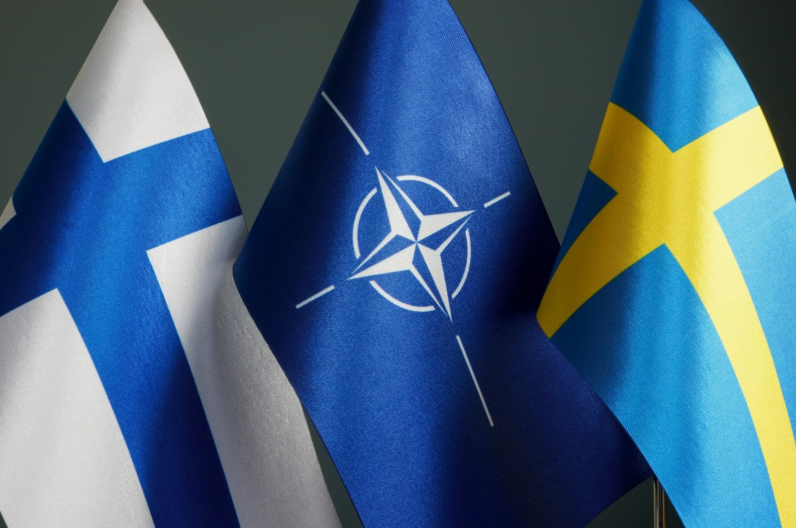 What-are-Finland-and-Sweden-planning-for-NATO-membership