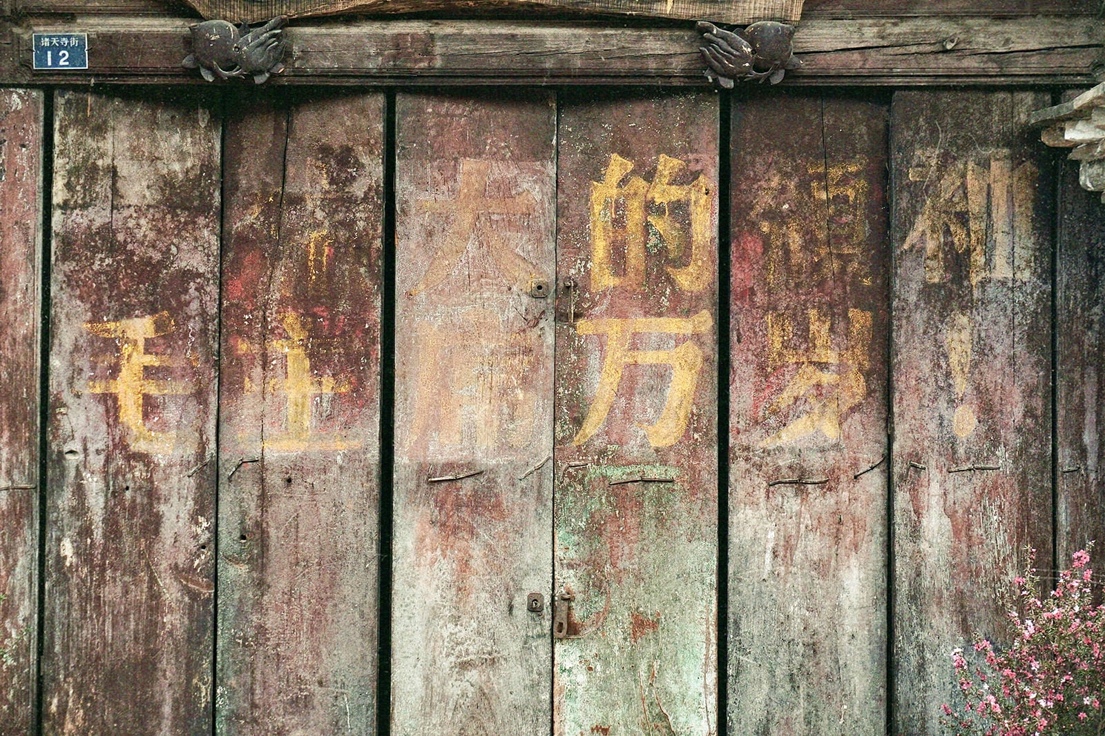 mw960367054-2JDK5jZZ430-unsplash