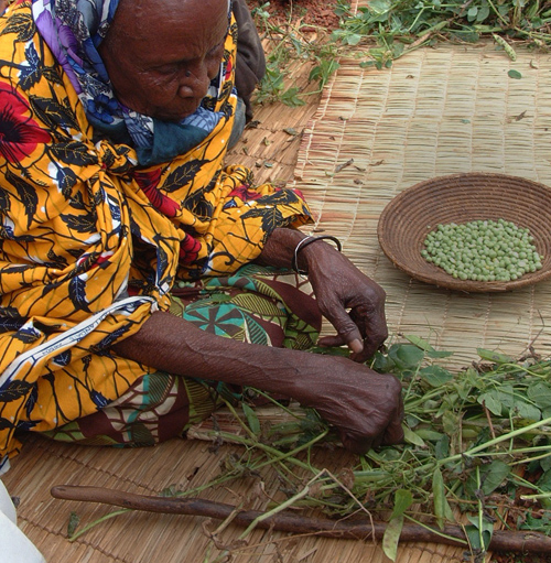 Separating the peas from the pea pod. Muramvia - Burundi © 2007 Jan Oberg, TFF