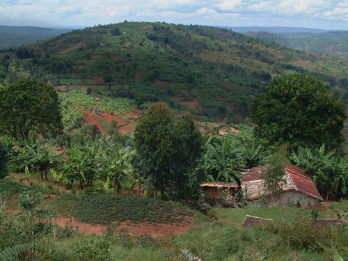 Typical landscape in Muramvia # 1 - Burundi © 2007 Jan Oberg, TFF