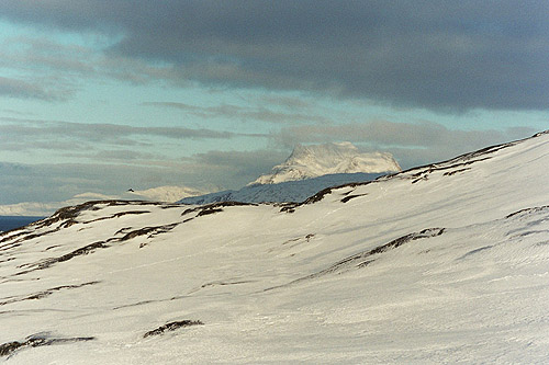 Sermitsiaq, Greenland @ Gitte Arvegaard 2005