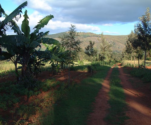 There are huge agricultural areas to make House of Peace self-sustaining Ruyigi, Burundi © 2006 Jan Oberg, TFF