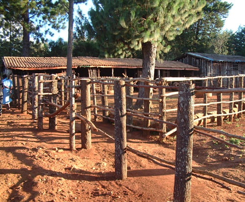 Shalom House cattle breeding ground, Ruyigi, Burundi © 2006 Jan Oberg, TFF